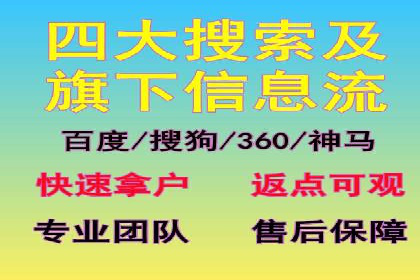 某电商平台的SEM推广实战经验